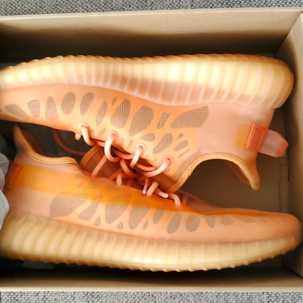 Yeezy boost 350